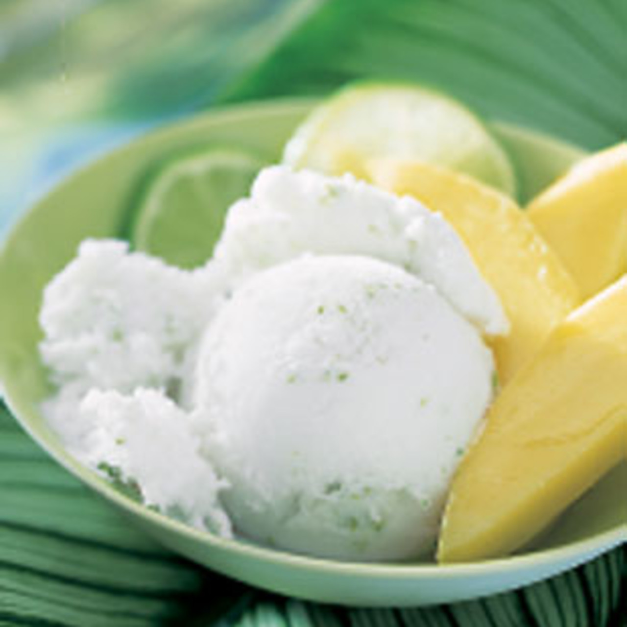 Coconut Milk Ice Cream