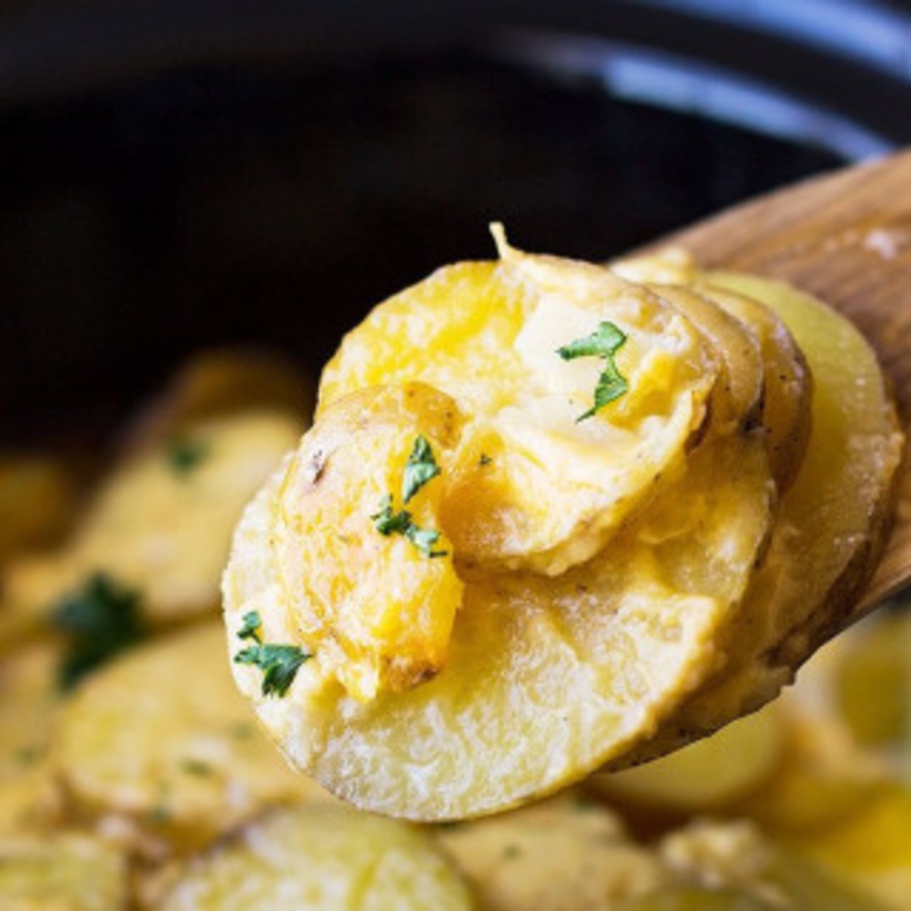 Crock Pot Potato Au Gratin