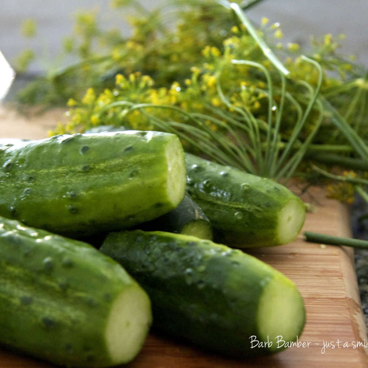 Dill Pickles.