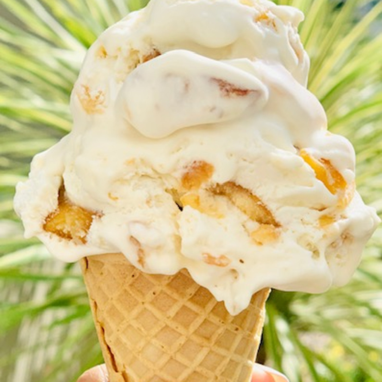 Homemade Vanilla (No Churn) Ice Cream