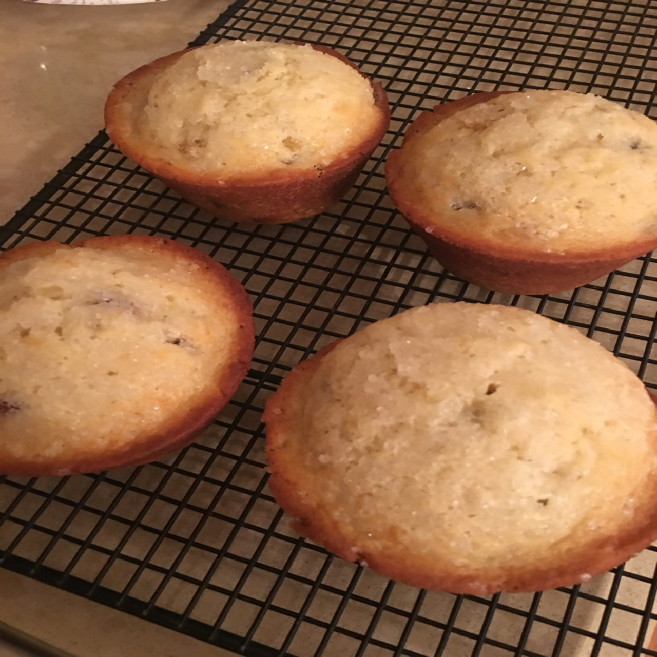 Jumbo Apricot Ginger Muffins