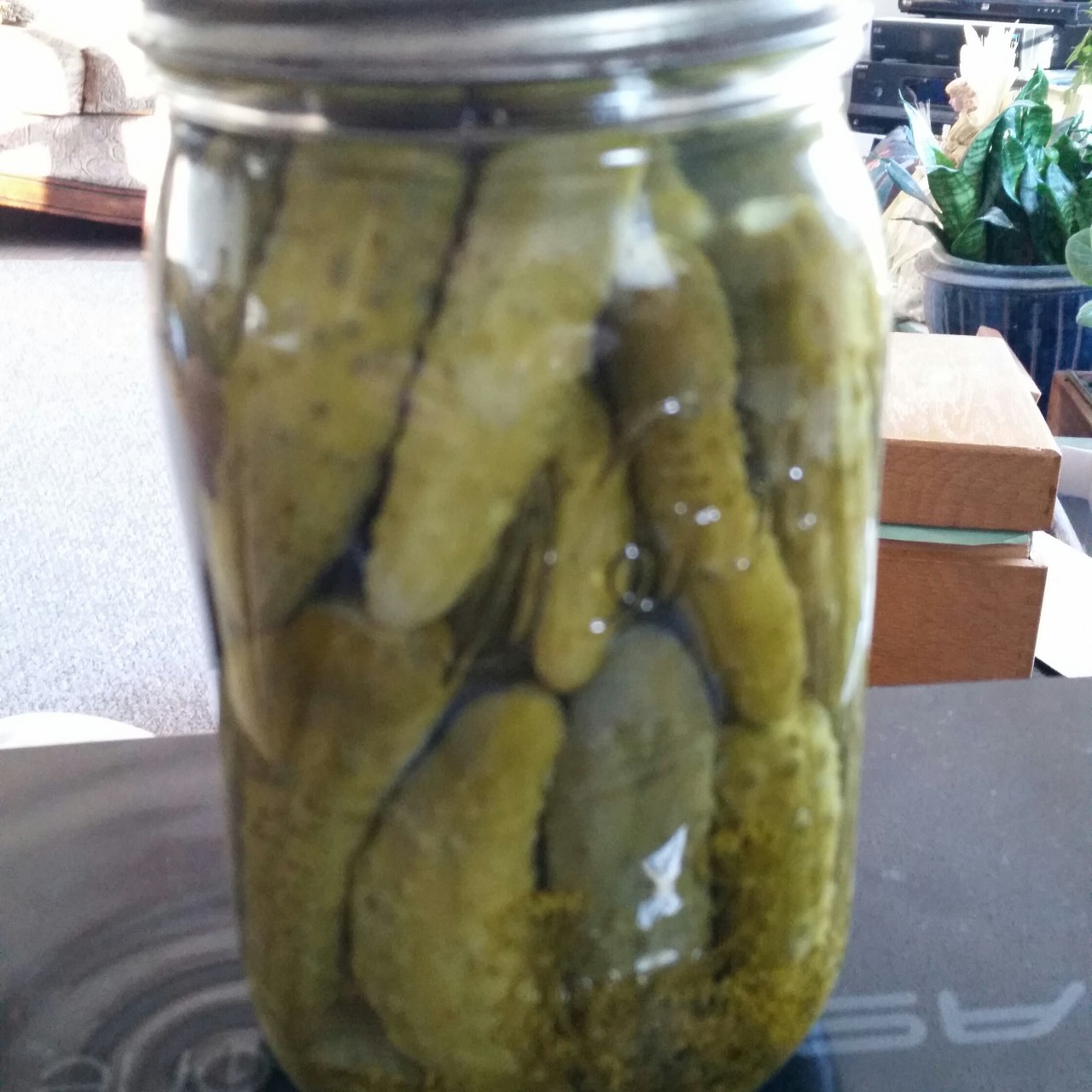 Mom's Dill Pickles (Cooked)
