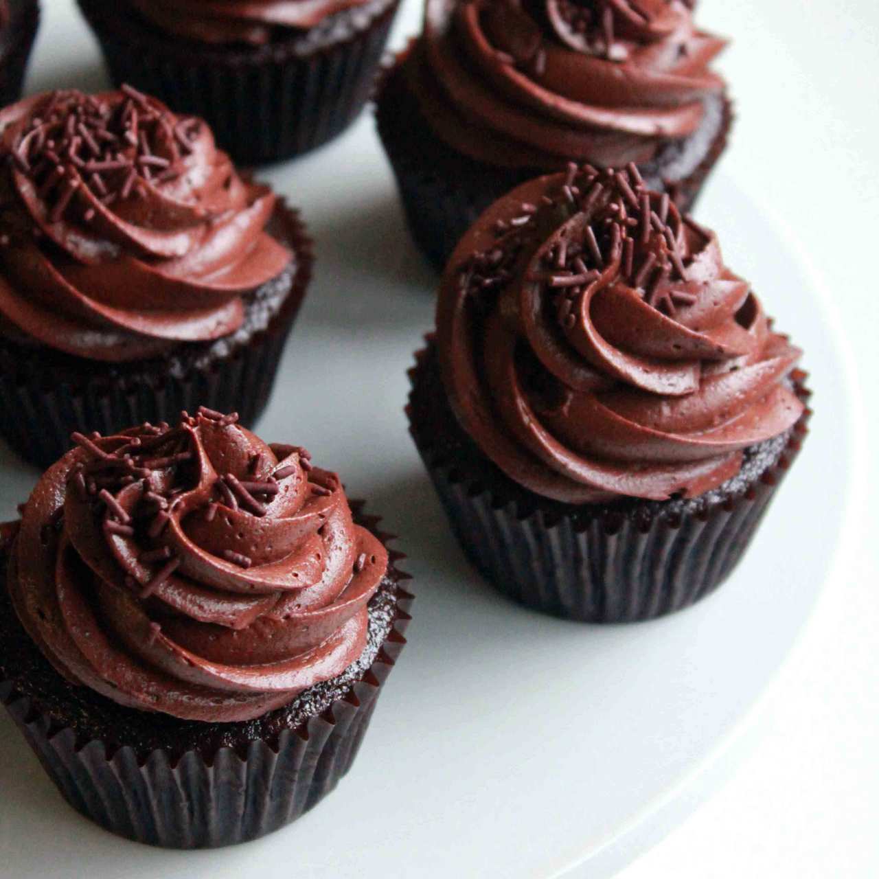 delicious chocolate cupcakes