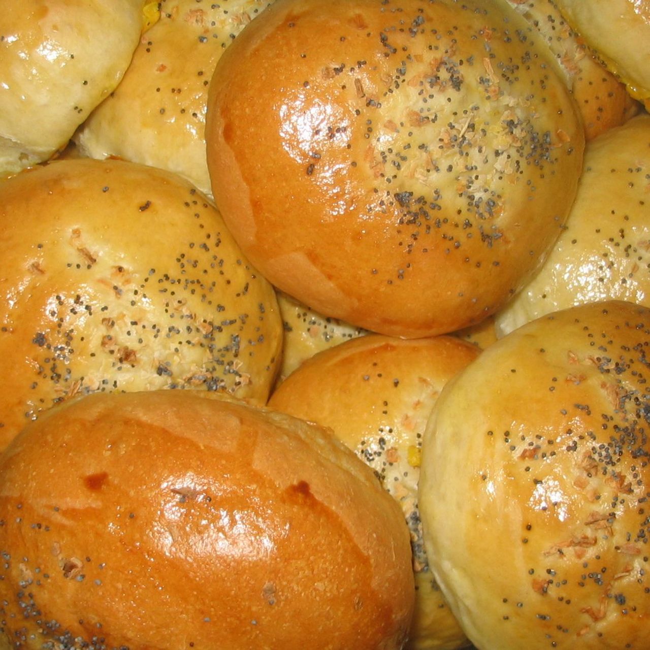 Onion Poppy Seed Buns