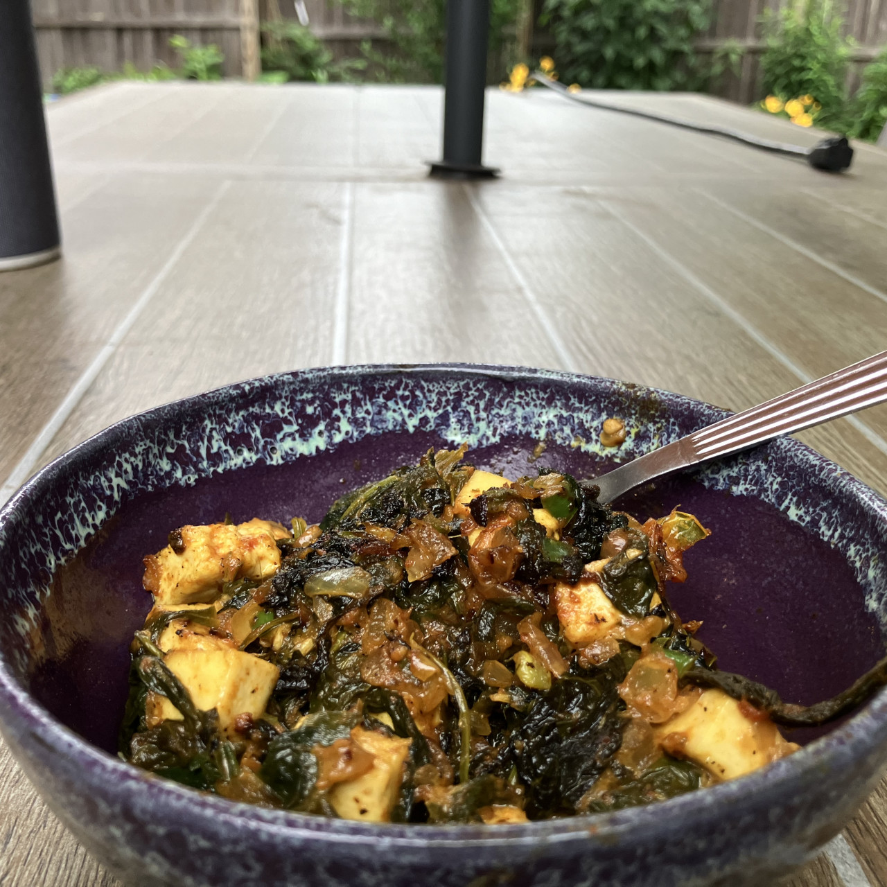 Palak Paneer