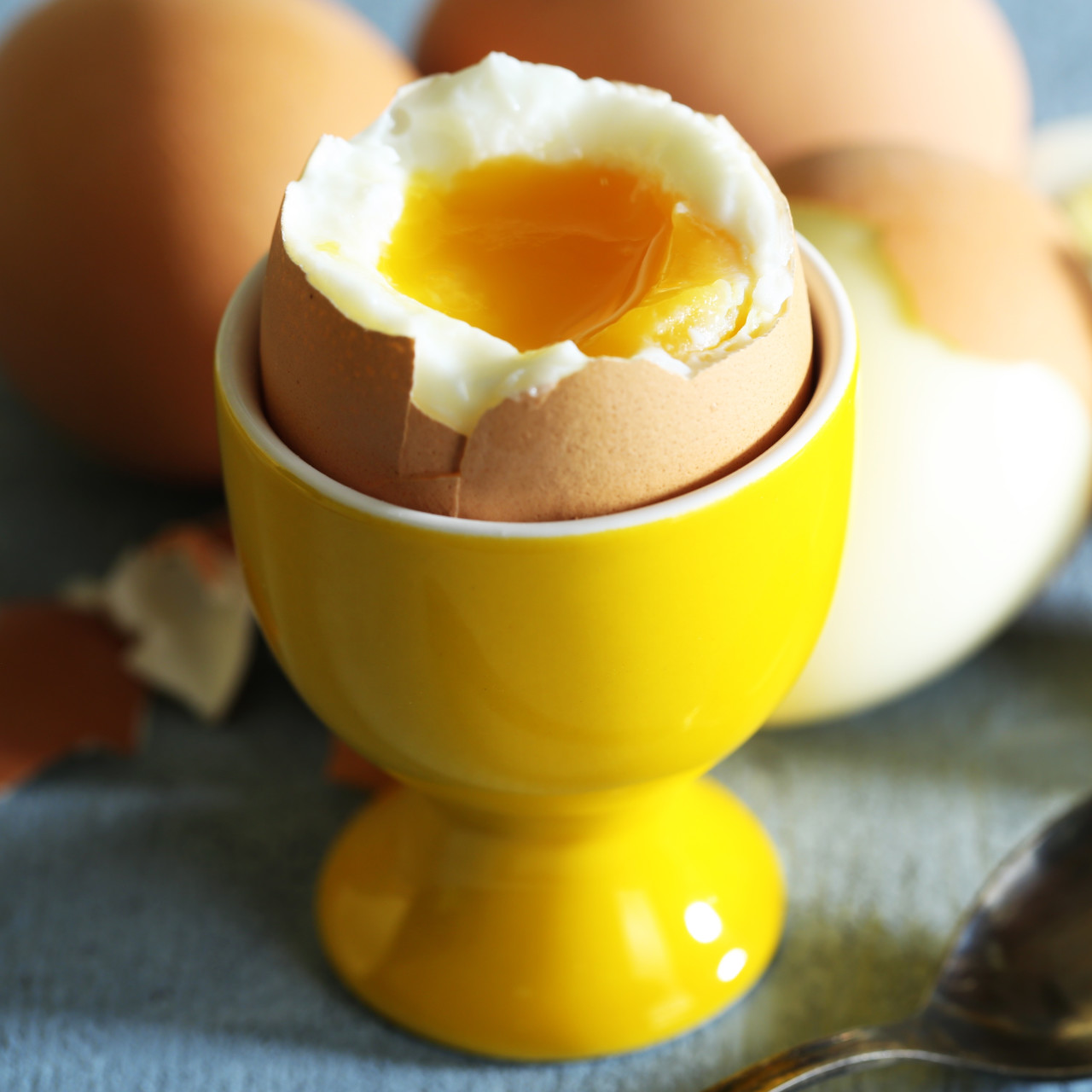 Hard Boiled Eggs For Chickens