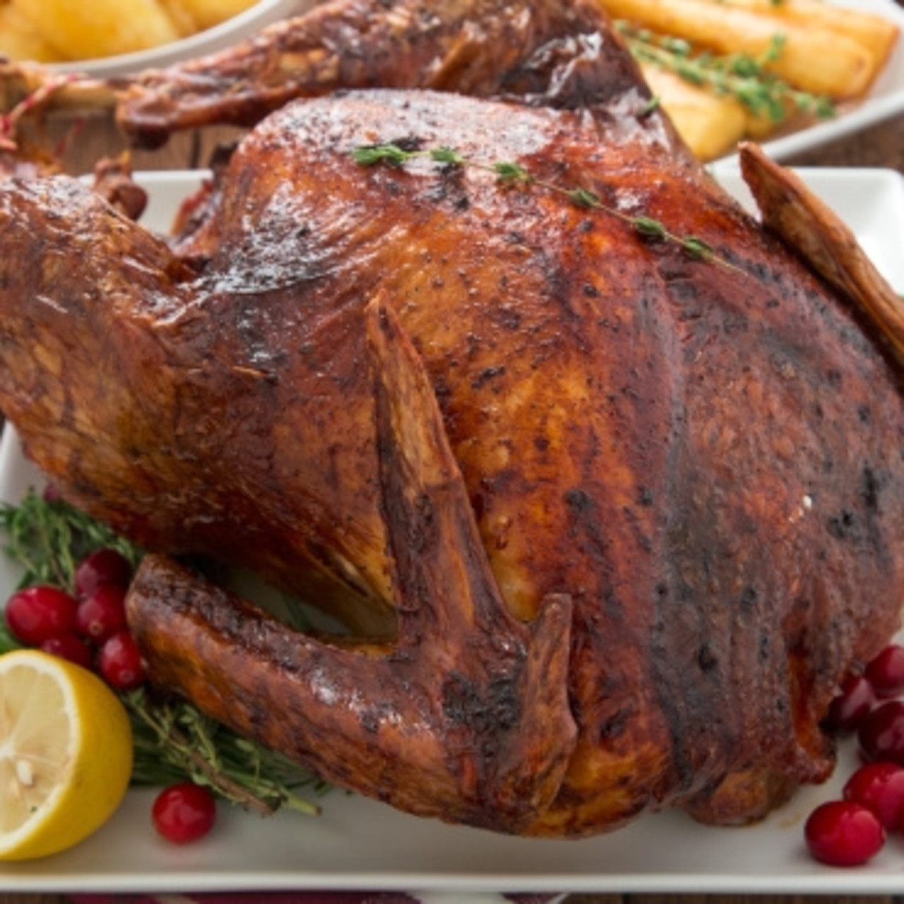 PERFECT TURKEY IN AN ELECTRIC ROASTER OVEN
