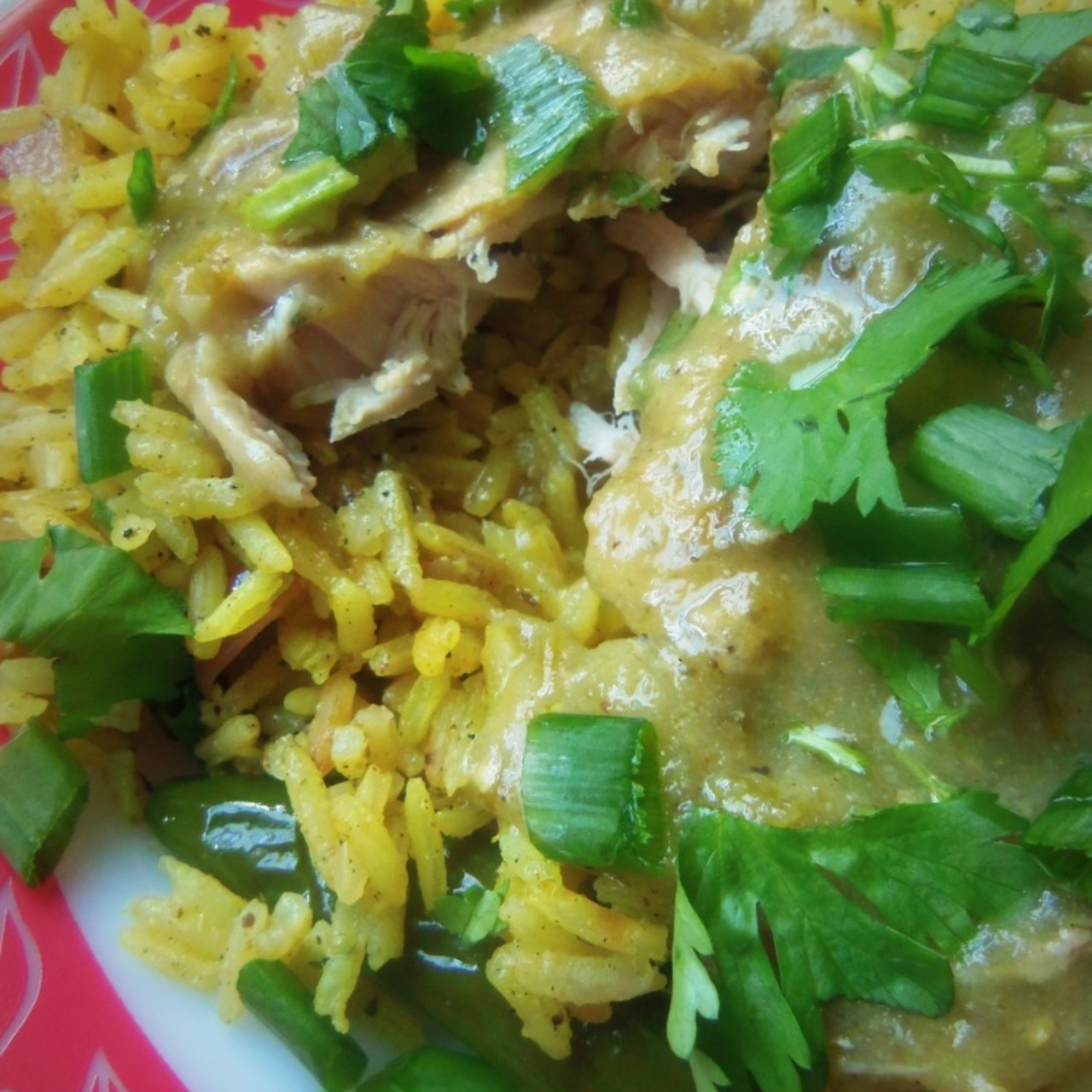 Salsa Verde Pork Chops