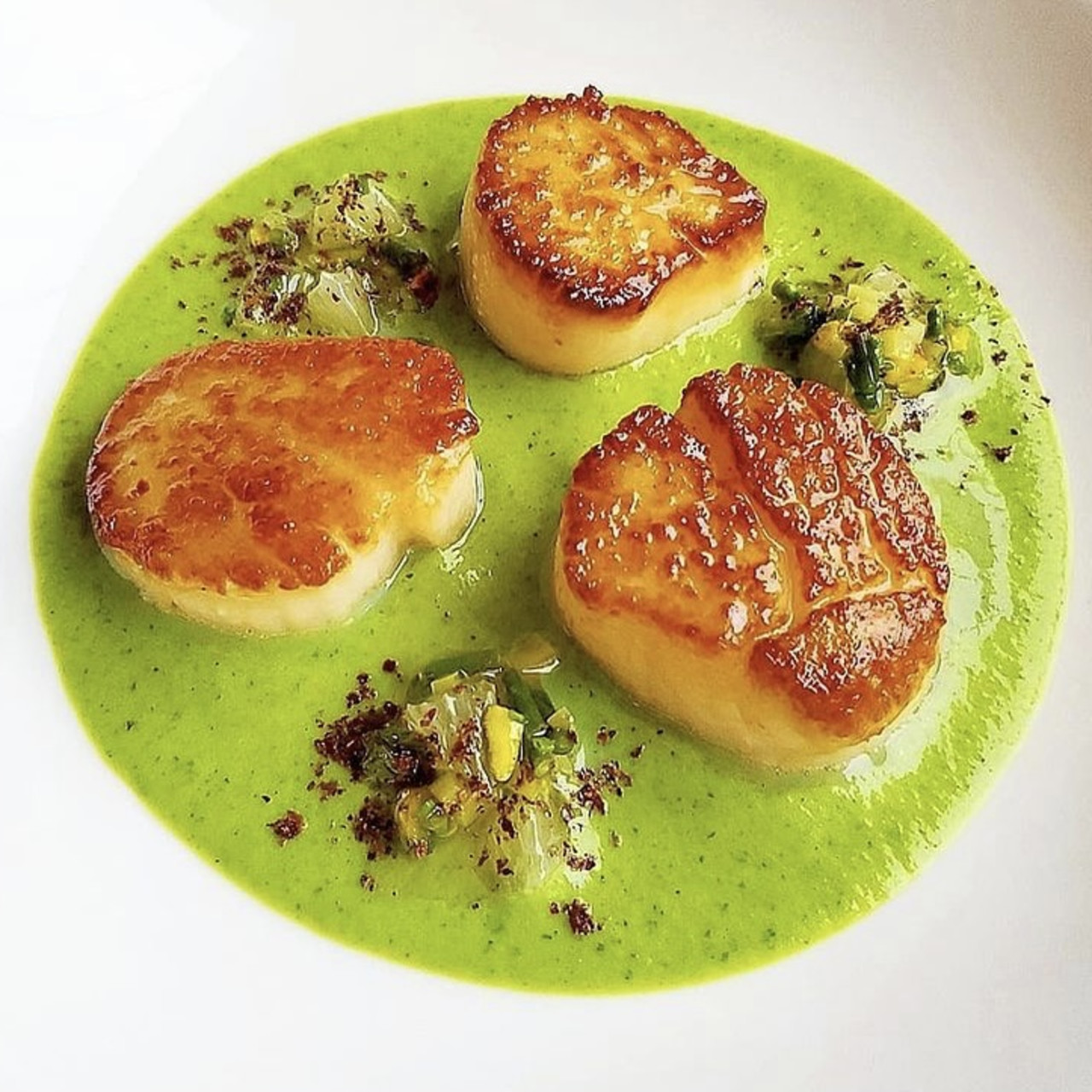 Seared Scallops in Zucchini & Sumac Puree
