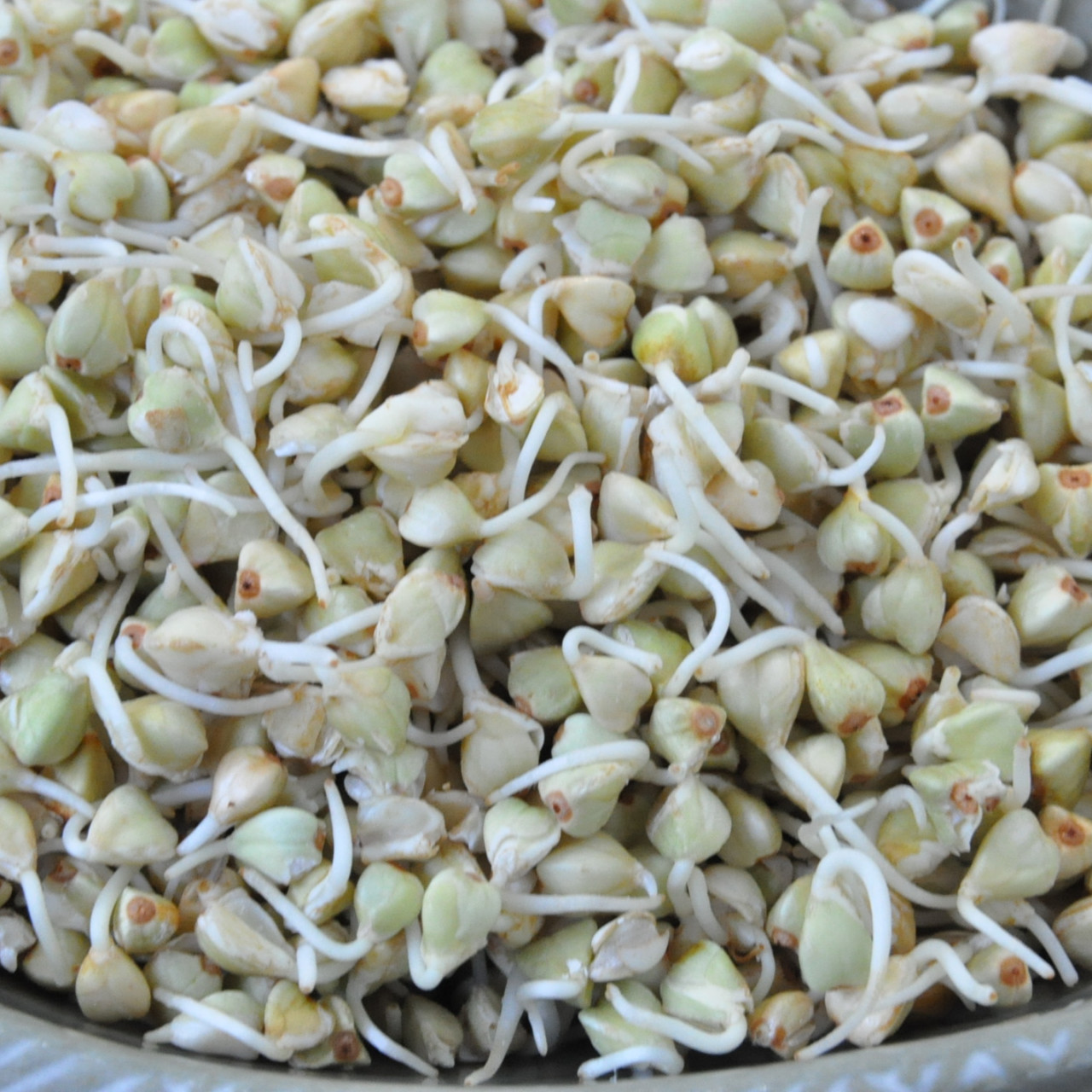 sprouted-raw-buckwheat-porridge