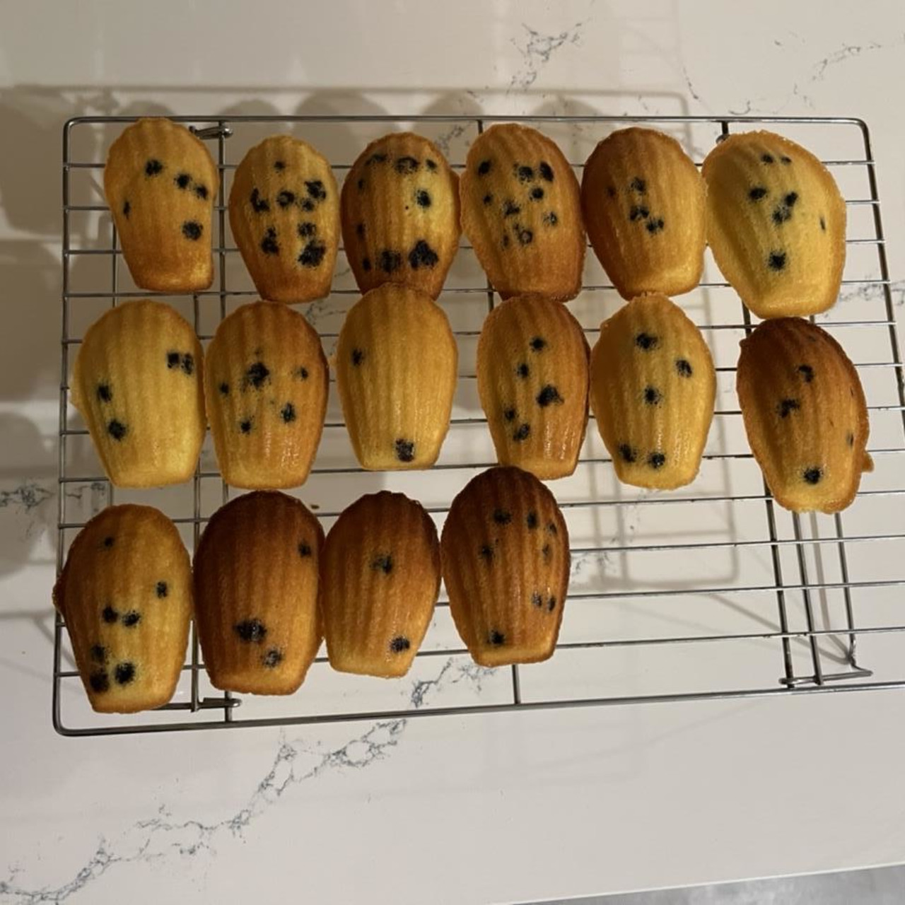 Starbucks Madeleine Petite French Cakes