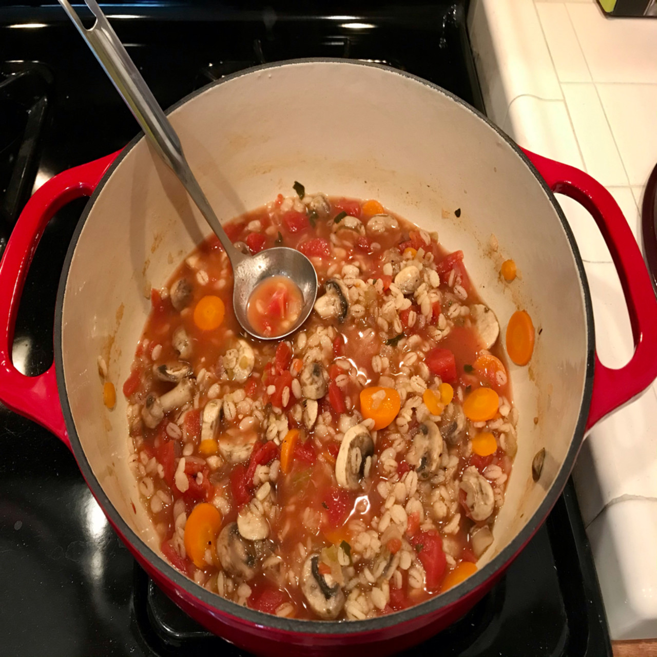 Vegetarian Barley Soup