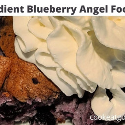 2 Ingredient Blueberry Angel Food Cake Recipe