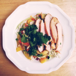 21 day fix- Asian Chicken/Tofu Salad with Peanut Sauce