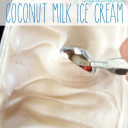 3 Ingredient Coconut Milk Ice Cream