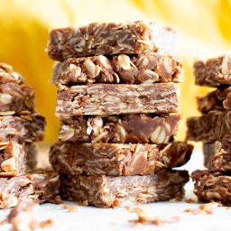 4 Ingredient No Bake Chocolate Peanut Butter Oatmeal Bars (Vegan, Gluten-Fr