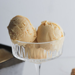 4-Ingredient Peanut Butter Ice Cream Recipe