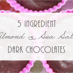 5 Ingredient Almond & Sea Salt Dark Chocolates
