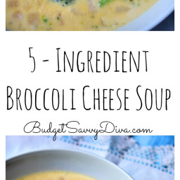 5 - Ingredient Broccoli Cheese Soup Recipe