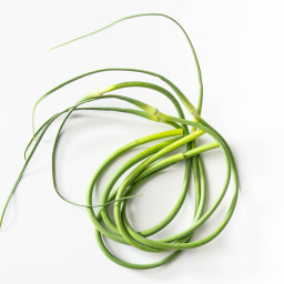7 Things To Do with Garlic Scapes Recipe | The Crisper Whisperer
