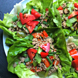 A Cedar Spoon – Thai Turkey Lettuce Wraps