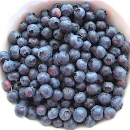 About Freezing Blueberries