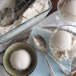 AIP / 3 Ingredients Paleo Vanilla Ice-Cream (Vegan, Dairy Free, Nut Free, l