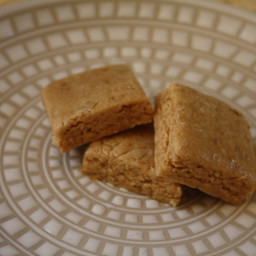 Almond Butter Protein Squares