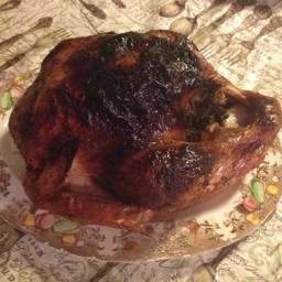 Alton Brown's Turkey