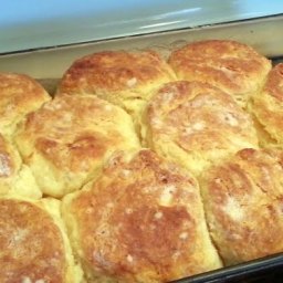 Angel Flake Biscuits  → http://www.allthecooks.com/recipe/Angel+Flake+
