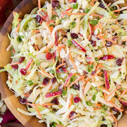 Apple Cranberry and Almond Coleslaw
