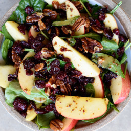 Apple Cranberry Spinach Salad Recipe