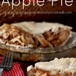 Apple Pie :: Gluten, Egg, and Nut Free