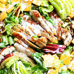 Apples and Cheddar Chicken Salad Recipe