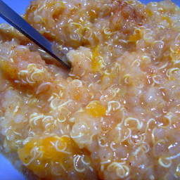 Apricot Honey Wheat Pudding