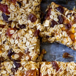 Apricot and Coconut Oat Slice
