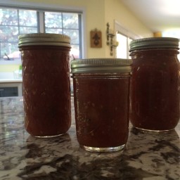 Armand's Amazing Canned Salsa with Homegrown Tomatoes