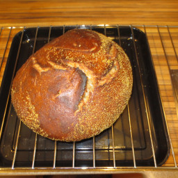 Artisan Sourdough No-Knead Bread