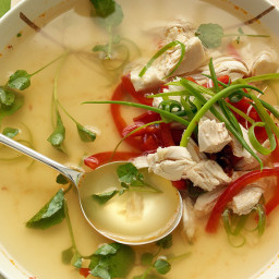 Asian Chicken and Chili Soup