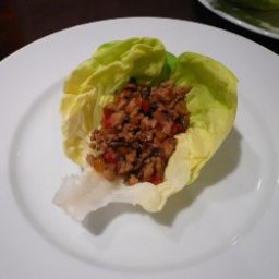 asian-chicken-lettuce-wraps3.jpg