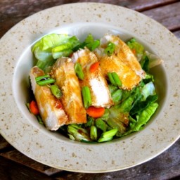 asian-chicken-salad-dac16e.jpg