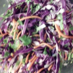 Asian Coleslaw