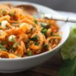 Asian-Flavoured Carrot Slaw (AIP, Paleo, SCD)