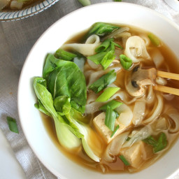 Asian Vegetable Noodle Soup
