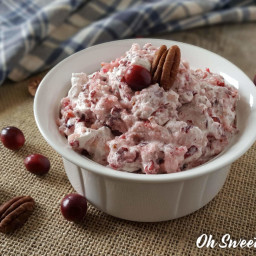 Aunt Kathy's Holiday Cranberry Salad