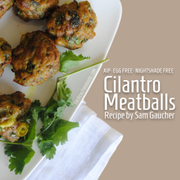 Autoimmune paleo-friendly egg-free, nightshade-free cilantro meatballs