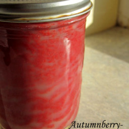 autumnberry-apple-cider-jam-1740794.jpg