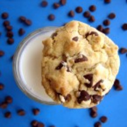 Award-Winning Chocolate Chip Cookies Recipe