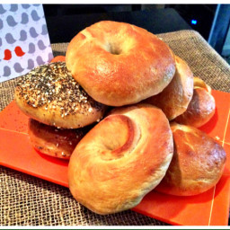 Bagels from Scratch