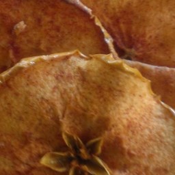baked-apple-chips-3d0814.jpg